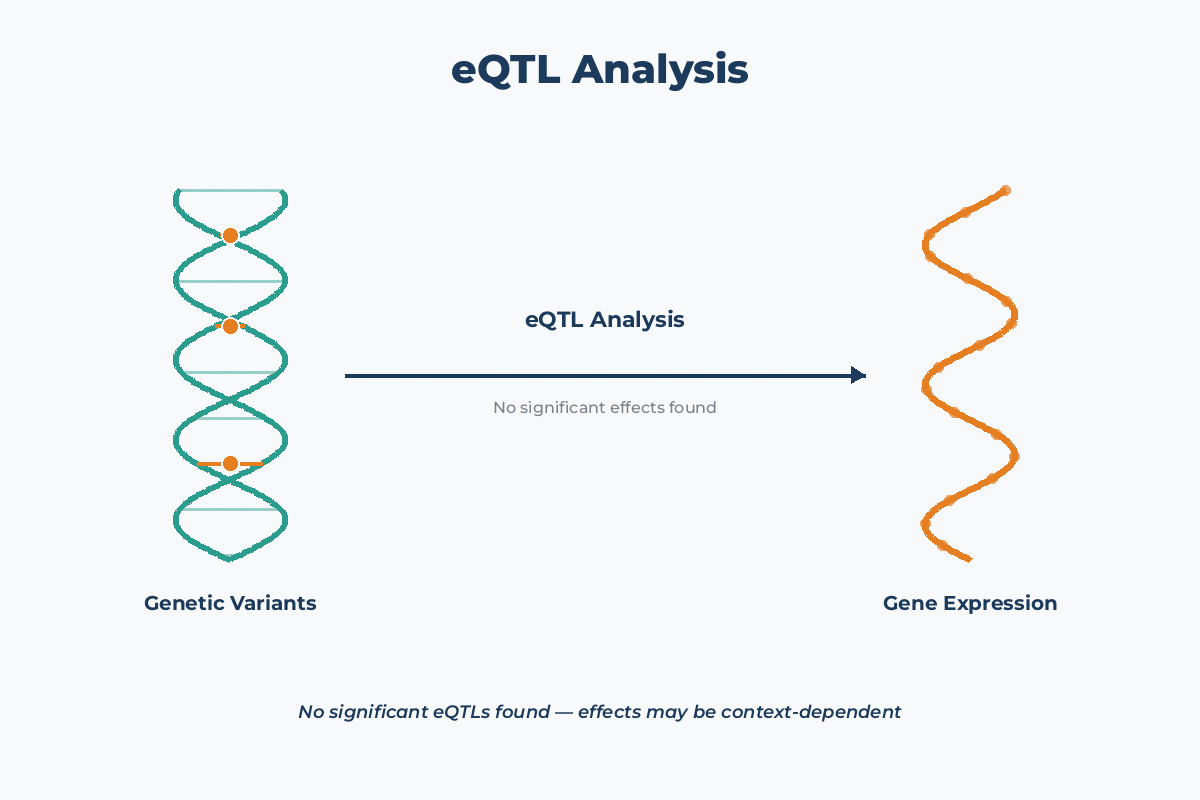 eQTL Analysis: The Search for Expression Effects in Alzheimer's Disease
