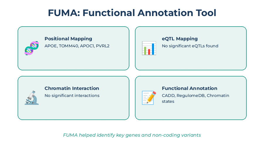 FUMA: The Swiss Army Knife of Functional Annotation for Alzheimer's Genetics Research