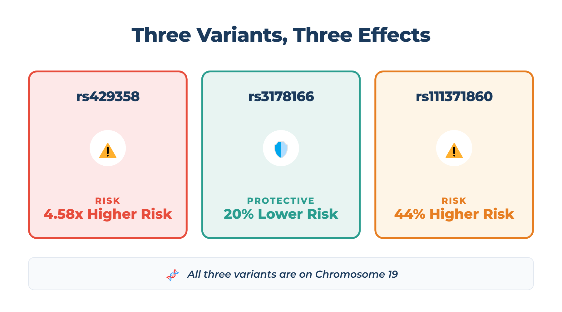 Three Alzheimer's risk variants: rs429358 (4.58x higher risk), rs3178166 (protective), and rs111371860 (1.44x higher risk)
